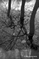 Caos riflesso
