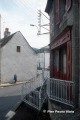Viola_Auvergne