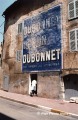 Viola_Provence 01
