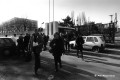 Viola_Le Scuole
