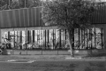 DSC_0132-copia