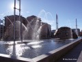Viola_47