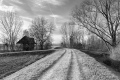 64-Argine-di-Rivalba-copia